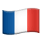 Bg france flag